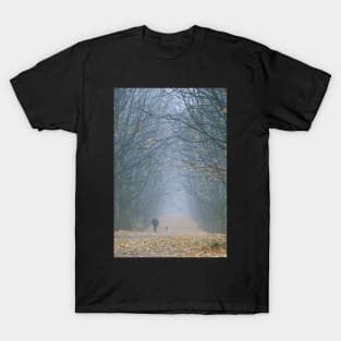 Walking in the mist T-Shirt